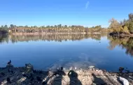 Por periodo de observacin de aves, SIMPATT limita acceso a rea del lago en Parque de la Amistad