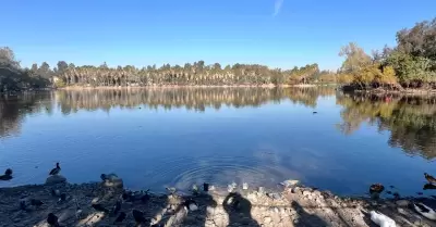 SIMPATT limita acceso a rea del lago en Parque de la Amistad