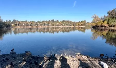 SIMPATT limita acceso a rea del lago en Parque de la Amistad