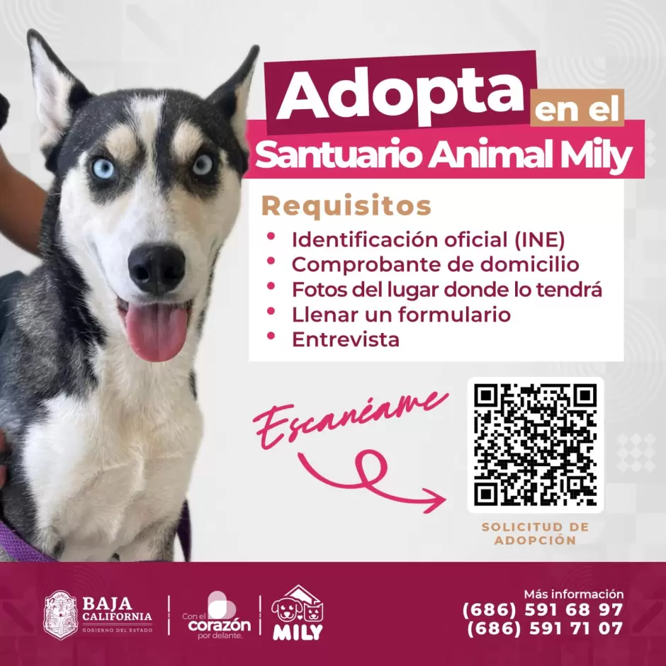 Santuario Animal Mily