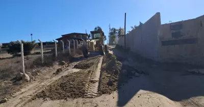 Terraceras en el Valle de Guadalupe