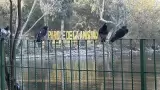 Parque de la amistad en Tijuana