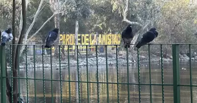 Parque de la amistad en Tijuana