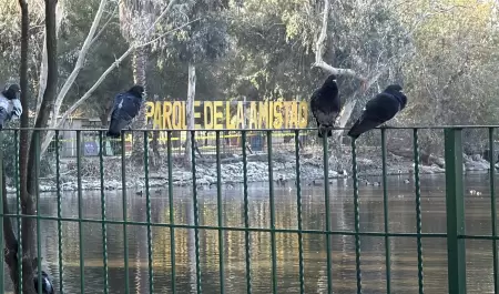 Parque de la amistad en Tijuana