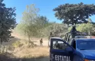 Portaban chalecos tcticos los seis cuerpos hallados en la sierra de Tepuche, en Sinaloa