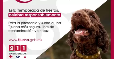 Hacen llamado a cuidar a las mascotas evitando la pirotecnia