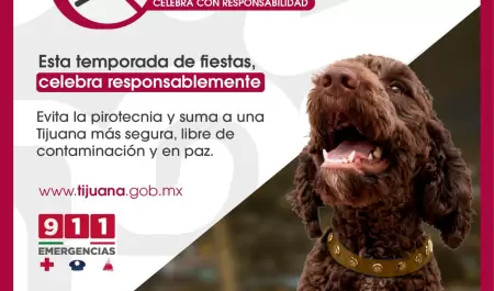 Hacen llamado a cuidar a las mascotas evitando la pirotecnia