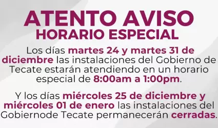 Ajustes en horarios de oficinas durante celebraciones navideas y fin de ao