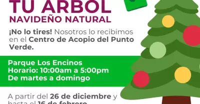 Programa de reciclaje de rboles navideos