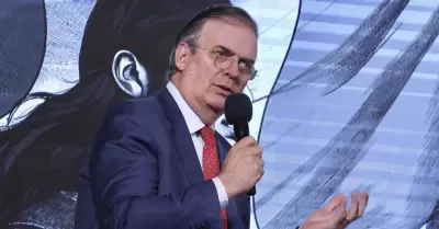 Marcelo Ebrard, secretario de Economa.