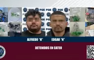 La Fiscala General del Estado detiene a dos masculinos durante cateos por narcomenudeo