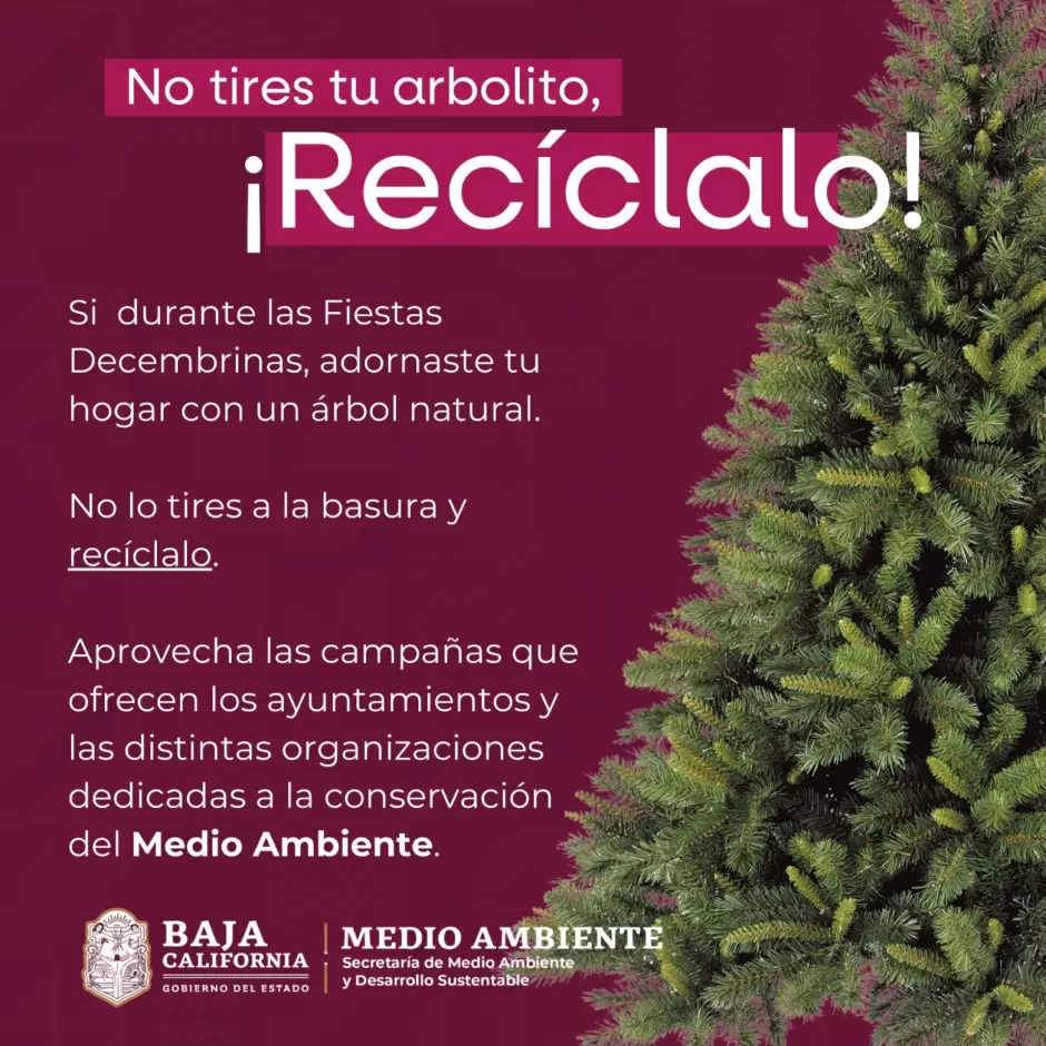 Campaa de reciclaje de rboles navideos