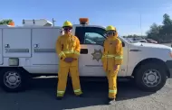 Cmo proteger a tus mascotas durante situaciones de desastre