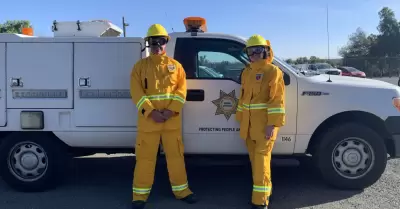 Cmo proteger a tus mascotas durante situaciones de desastre