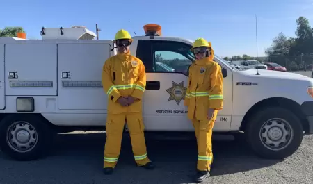 Cmo proteger a tus mascotas durante situaciones de desastre