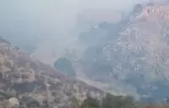 Ms de 300 hectreas consumidas en incendio forestal en el Km. 17 de la carretera Ensenada-Ojos Negros