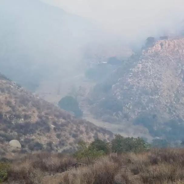 Incendio en Ensenada