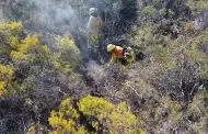 Se registran incendios forestales en Ojos Negros y Ejido Uruapan