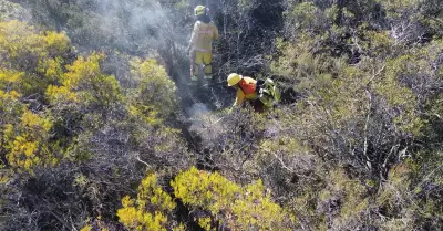 incendios forestales en Ojos Negros y Ejido Uruapan