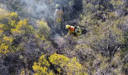 incendios forestales en Ojos Negros y Ejido Uruapan