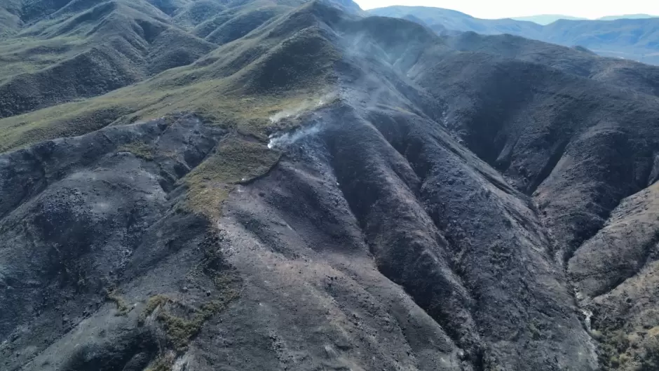 incendios forestales en Ojos Negros y Ejido Uruapan