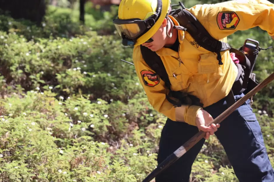 California fortalece su respuesta a incendios forestales y la gestin de bosques ante el cambio climtico