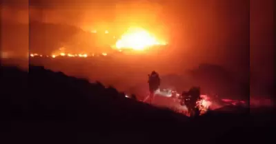 Incendios forestales en Rosarito amenazan viviendas en Primo Tapia