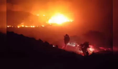 Incendios forestales en Rosarito amenazan viviendas en Primo Tapia