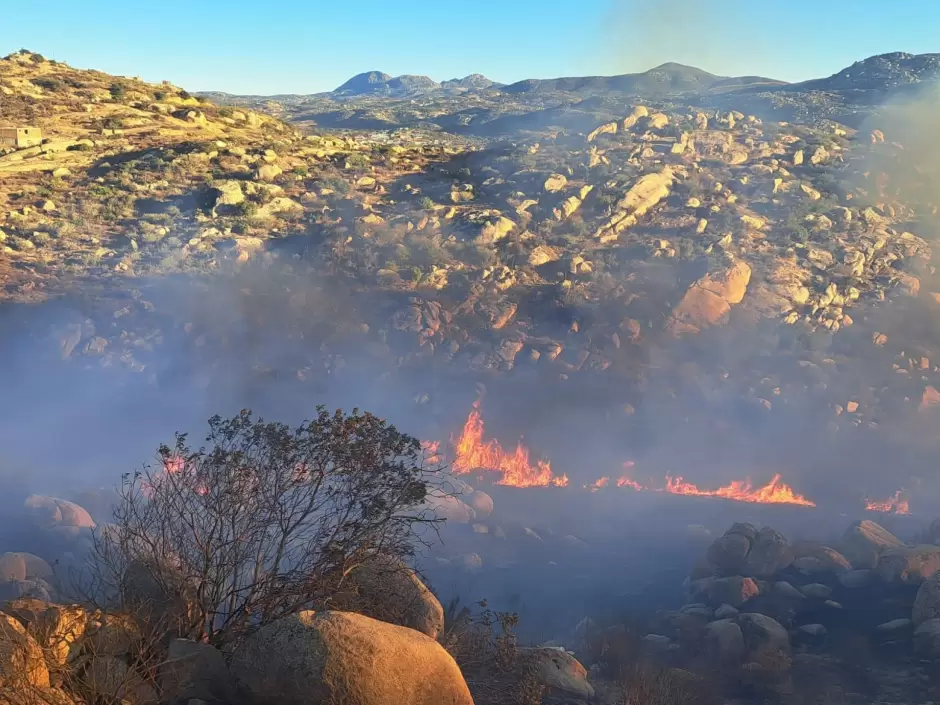 Incendio forestal en Santa Anita