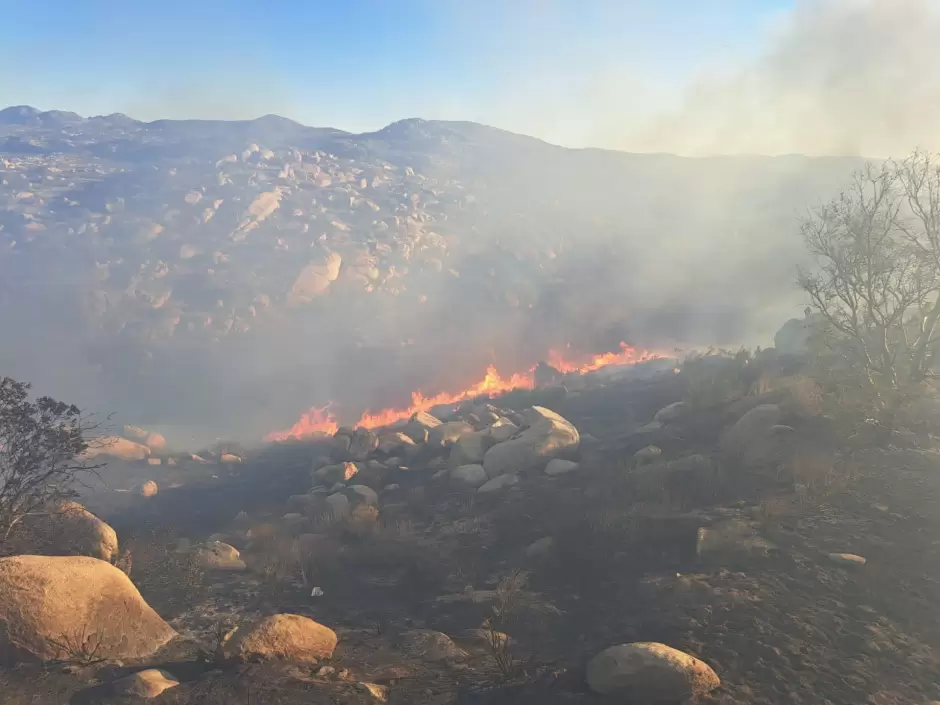 Incendio forestal en Santa Anita