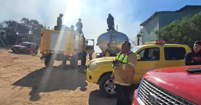 Incendio forestal en Santa Anita