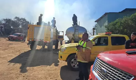 Incendio forestal en Santa Anita