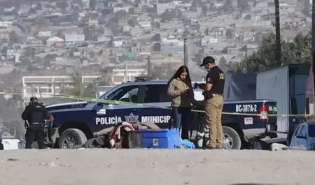 Hallan cadver de mujer desmembrado en colonia Granjas Familiares del Matamoros