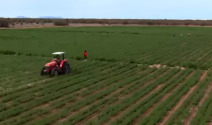 Productores agr�colas