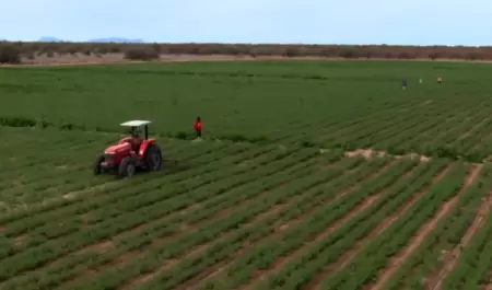 Productores agr�colas