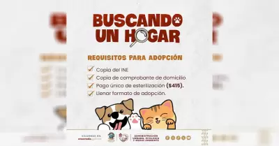 Promueve Gobierno de Ensenada adopcin de mascotas