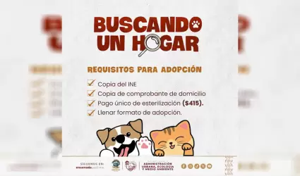 Promueve Gobierno de Ensenada adopci�n de mascotas