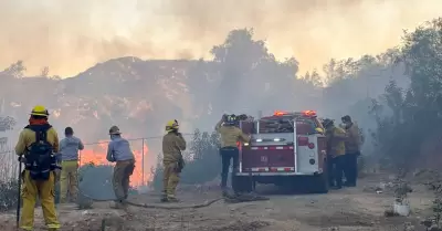 Atienden incendios forestales