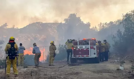 Atienden incendios forestales