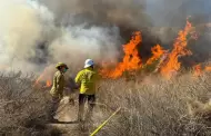 Se inician trabajos de preparacin ante prxima temporada de incendios forestales en Baja California