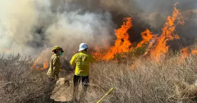 Atienden incendios forestales