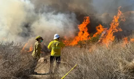 Atienden incendios forestales