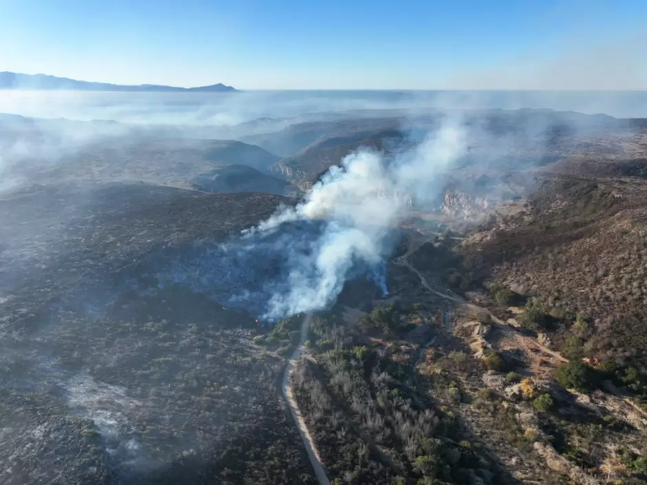 Atienden incendios forestales