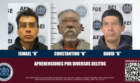 Detenidos