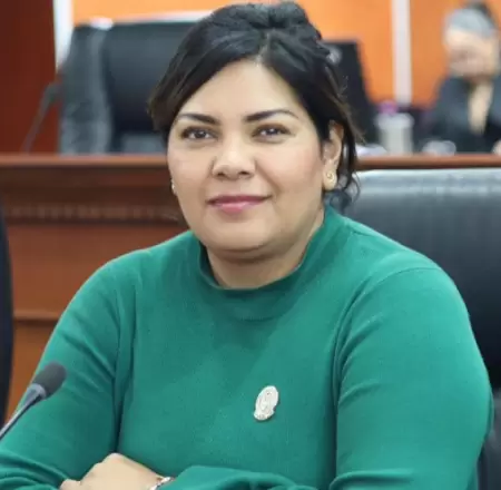 Diputada Montse Murillo