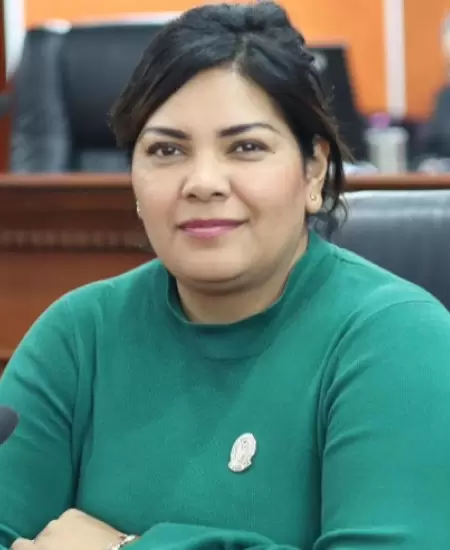 Diputada Montse Murillo