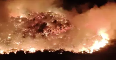 Participan Bomberos de Ensenada en la atencin de incendio forestal en Valle de 