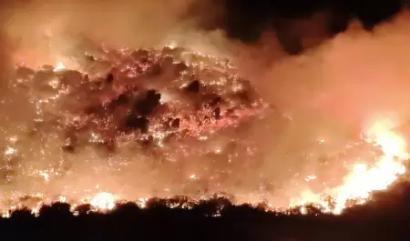 Participan Bomberos de Ensenada en la atencin de incendio forestal en Valle de