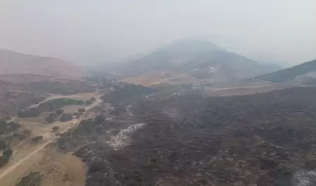 Incendio forestal