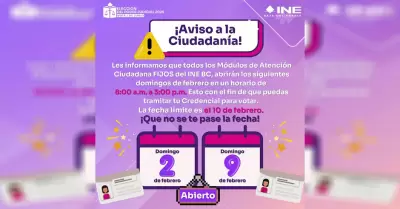 Mdulos del INE BC brindarn atencin los domingos 2 y 9 de febrero